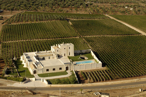 Carvinea Classics Wine Experience